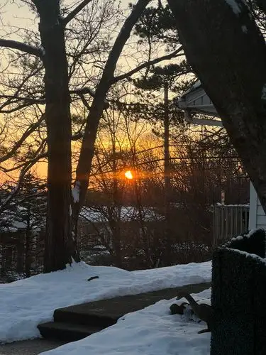 Golden warmth pierces the winter chill.